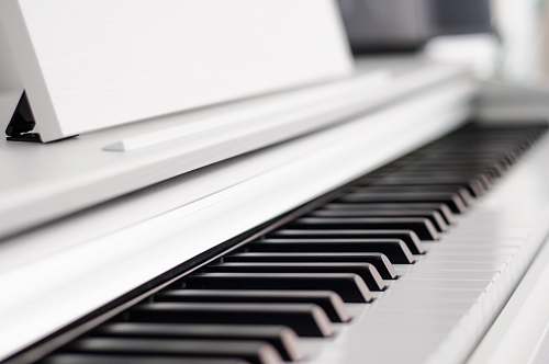 leisure activities black and white piano black-and-white